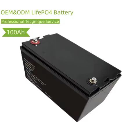 OEM 12V 100Ah Deep Cycle LiFePO4 Battery 