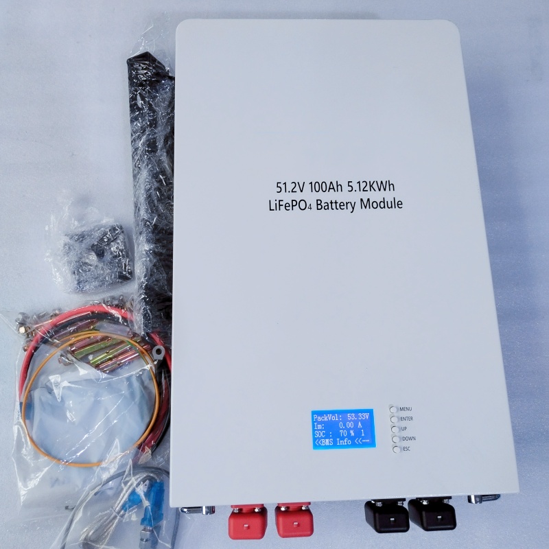 Smart BMS Protected Wall Battery Pack